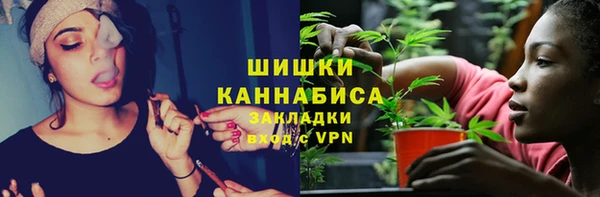 spice Аркадак
