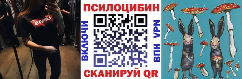 Псилоцибиновые грибы прущие грибы  Купить где  Куртамыш 
